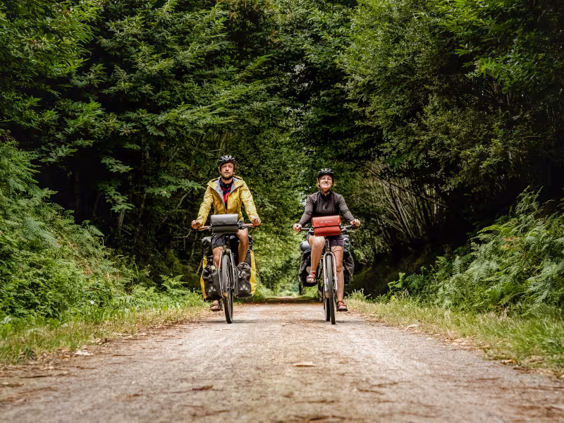 Voie verte ombragée sur la Véloscénie entre St-Hilaire-du-Harcouët et Ducey, itinéraire cyclable Paris–Mont-Saint-Michel