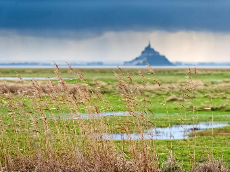 La baie du Mont-Saint-Michel