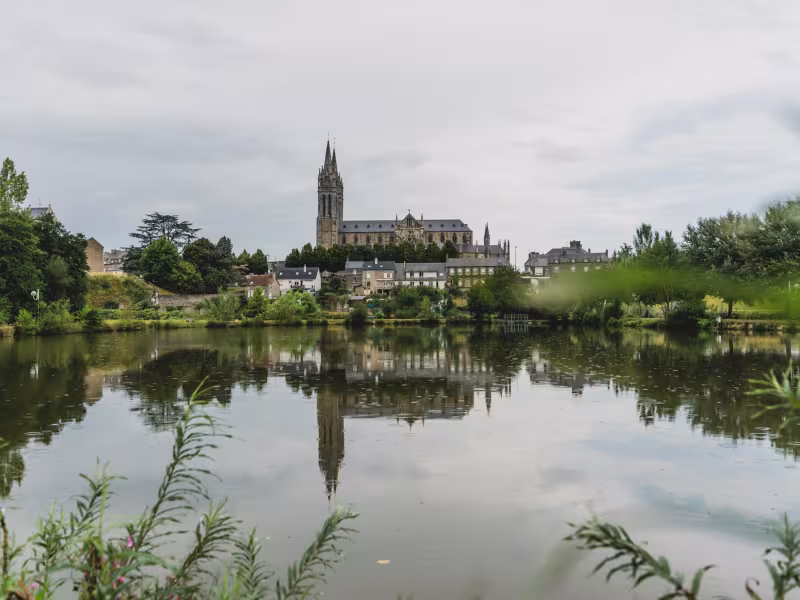 Vue de Saint-Hilaire-du-Harcouët et de sa basilique depuis le plan d'eau du Prieuré