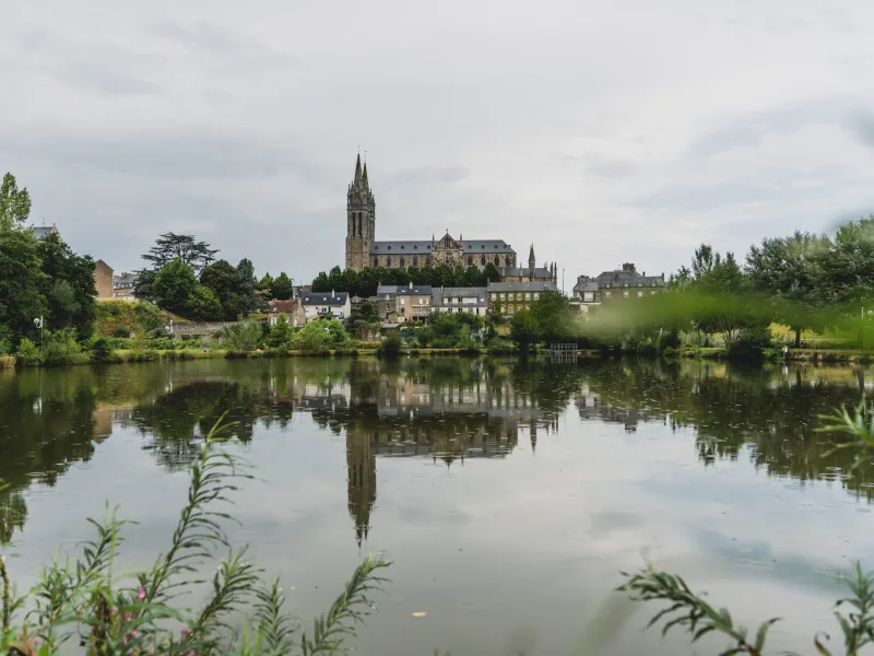 Vue de Saint-Hilaire-du-Harcouët et de sa basilique depuis le plan d'eau du Prieuré