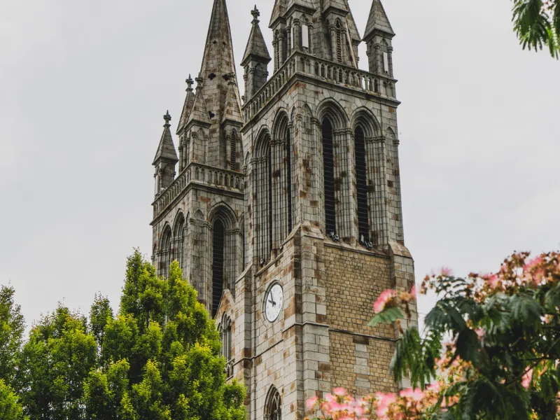 Clocher gothique de la basilique de Saint-Hilaire-du-Harcouët entouré d'arbres en fleurs