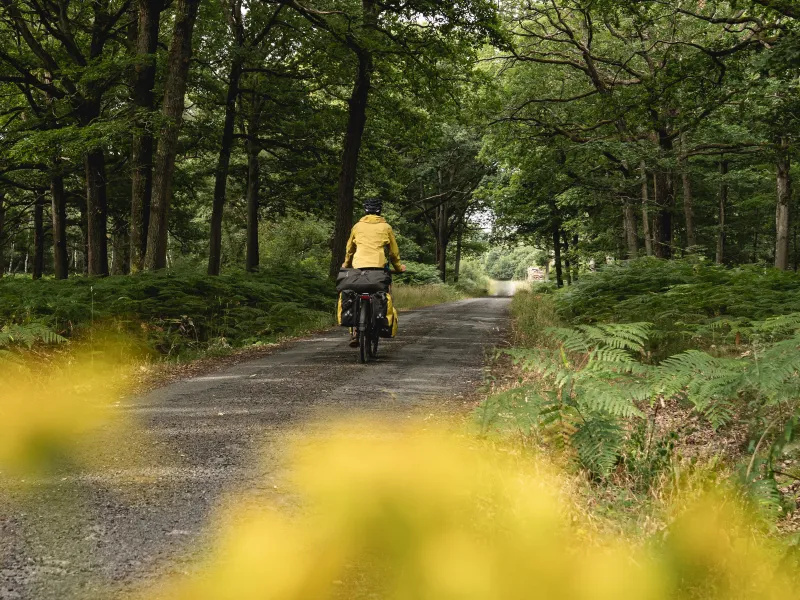 Forêt de Rambouillet itinéraire La Véloscénie