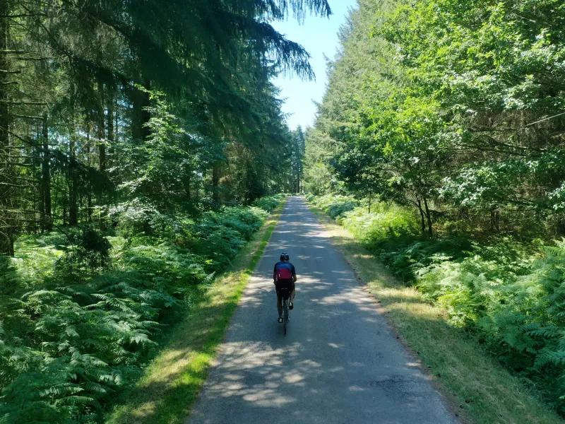 Dans les forêts du Perche 