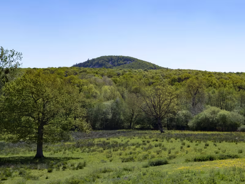 La Roche Mabile paysage