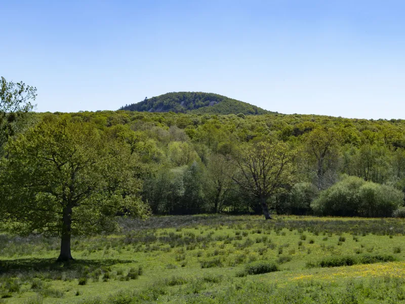 La Roche Mabile paysage