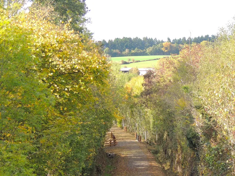 Voie verte Alençon Bagnoles de l'Orne