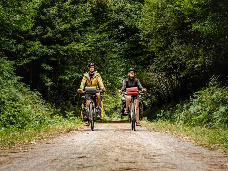 Voie verte ombragée sur la Véloscénie entre St-Hilaire-du-Harcouët et Ducey, itinéraire cyclable Paris–Mont-Saint-Michel