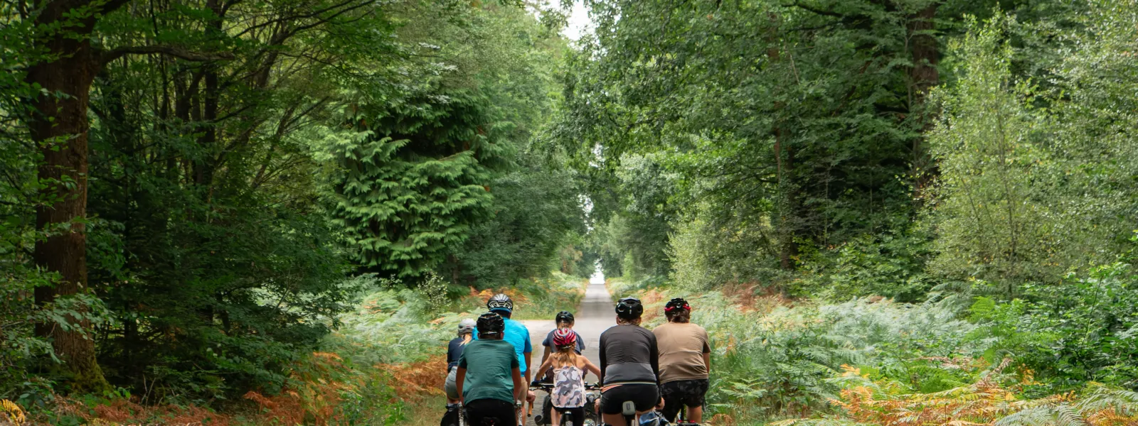 Groupe de cyclistes roulant sur une petite route forestière.