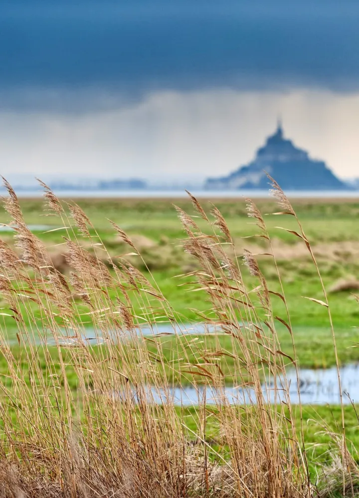 La baie du Mont-Saint-Michel