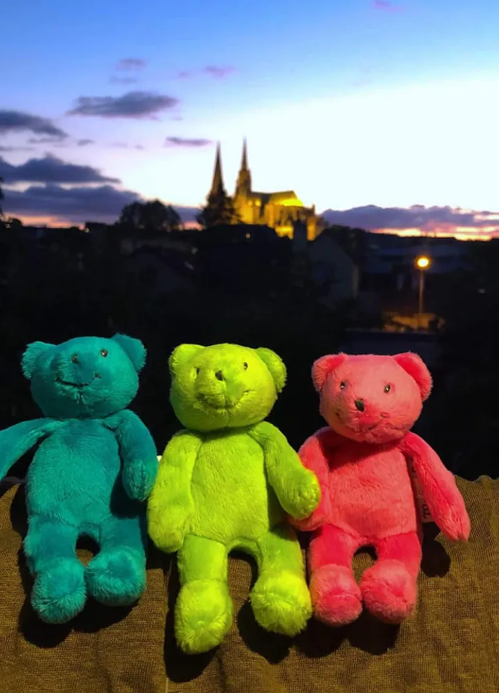 Les Ptits doudous au premier plan et la cathédrale de Chartres illuminée au loin
