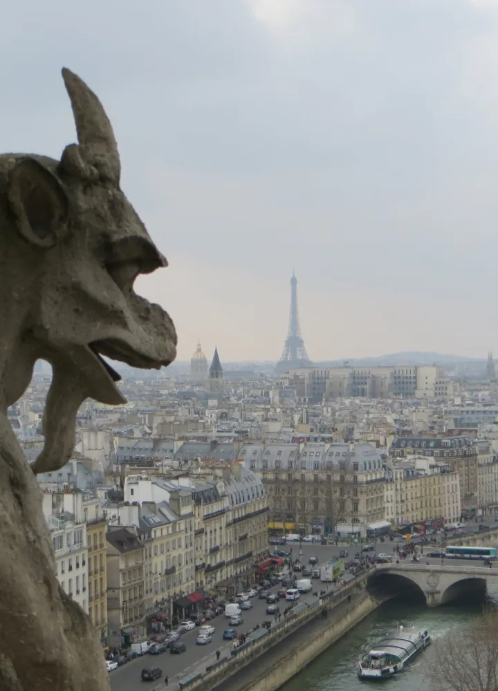 Visite de Notre Dame-de-Paris et ses gargouilles