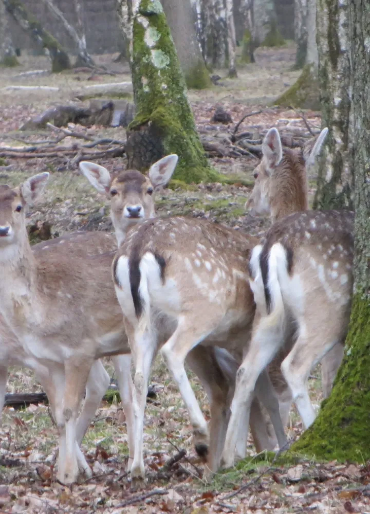 Rencontres à l'Espace Rambouillet