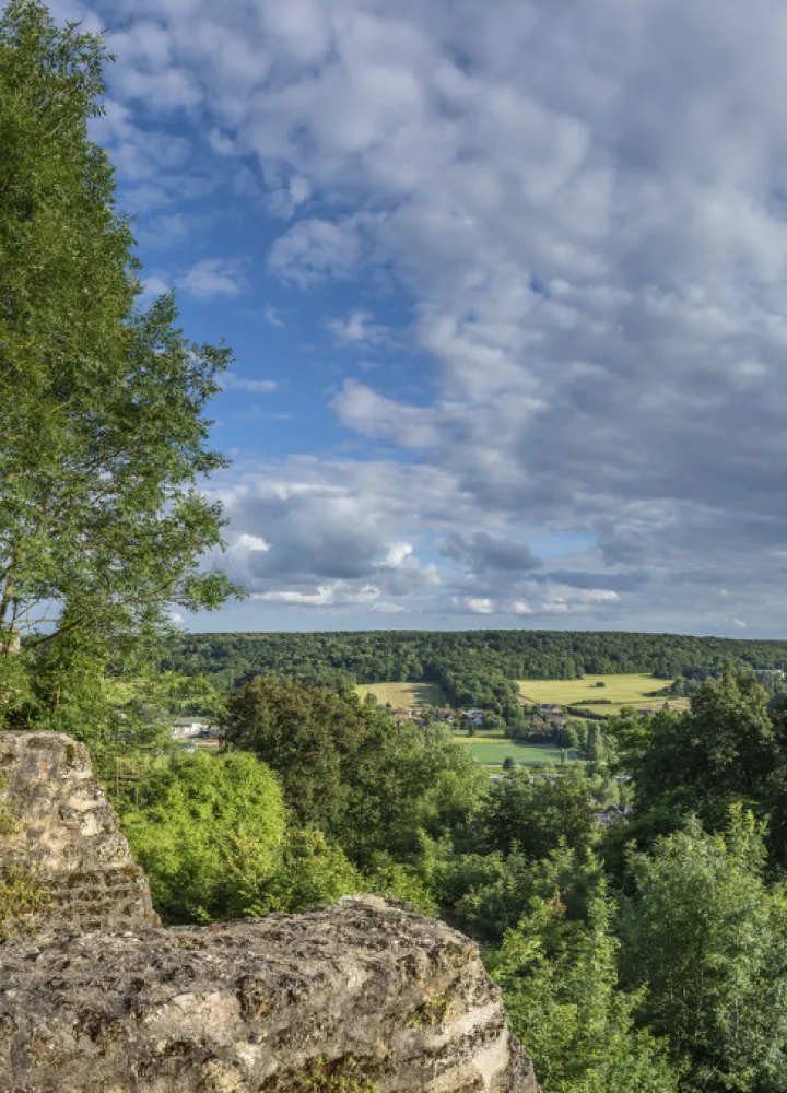 Panorama sur la Vallée de la Chevreuse