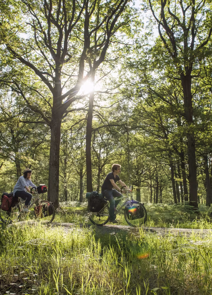 Vélo dans la Vallée de Chevreuse - La Véloscénie