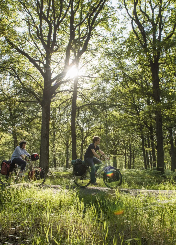 Vélo dans la Vallée de Chevreuse - La Véloscénie