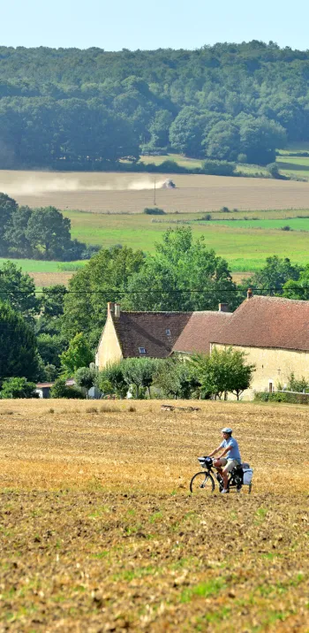 👀 VERSAILLES - NOGENT-LE-ROTROU