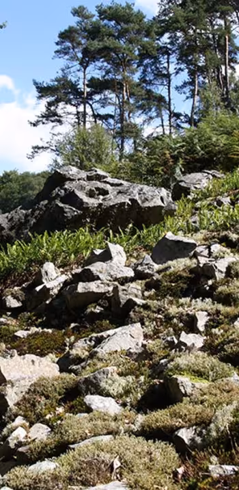 pierrier-gorges-de-villiers-cph-cd61-3.jpg