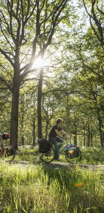 Au cœur de la vallée de Chevreuse