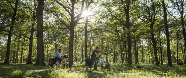 Au cœur de la vallée de Chevreuse