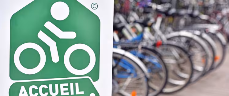 Bike hire or rental