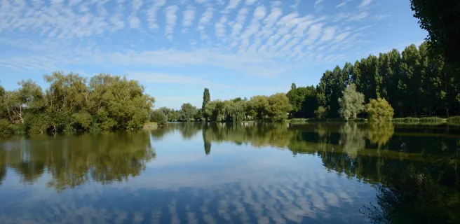 Escapade verte au fil de l'eau