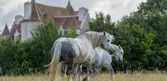 L'échappée de Sublaine