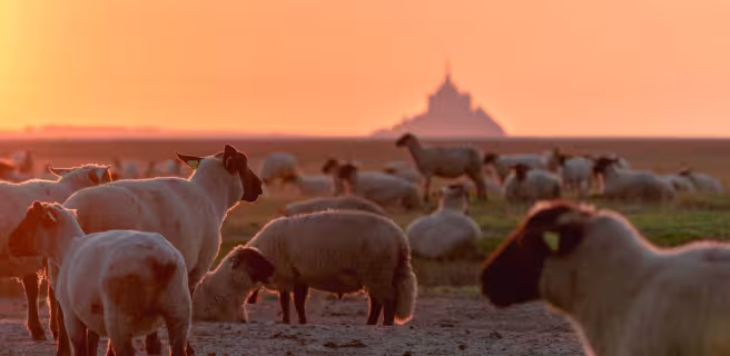 Ducey-lès-Chéris / Mont-Saint-Michel