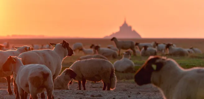 Ducey-lès-Chéris / Mont-Saint-Michel