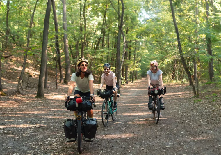 3 cyclistes sur un chemin en forêt de Rambouillet