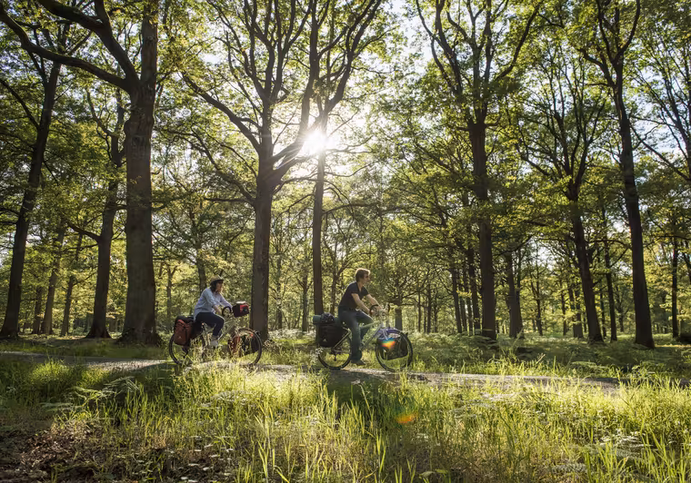 Vélo dans la Vallée de Chevreuse - La Véloscénie