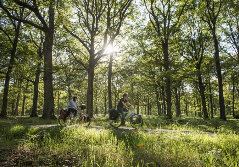 Vélo dans la Vallée de Chevreuse - La Véloscénie