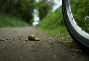 Escargot et roue de vélo nous rappelle de prendre le temps sur la Véloscénie Paris Le Mont-Saint-Michel