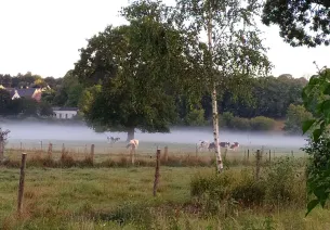 Brume au dessus d'un champ prise le long de l'itinéraire à vélo de La Véloscénie Paris Le Mont Saint-Michel